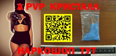 apvp Пугачёв