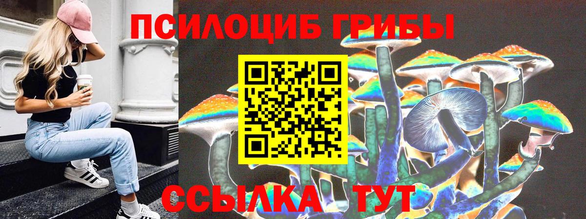 Галлюциногенные грибы Magic Shrooms  Галлюциногенные грибы GOLDEN TEACHER  Вход с VPN  дарнет шоп  Ртищево 