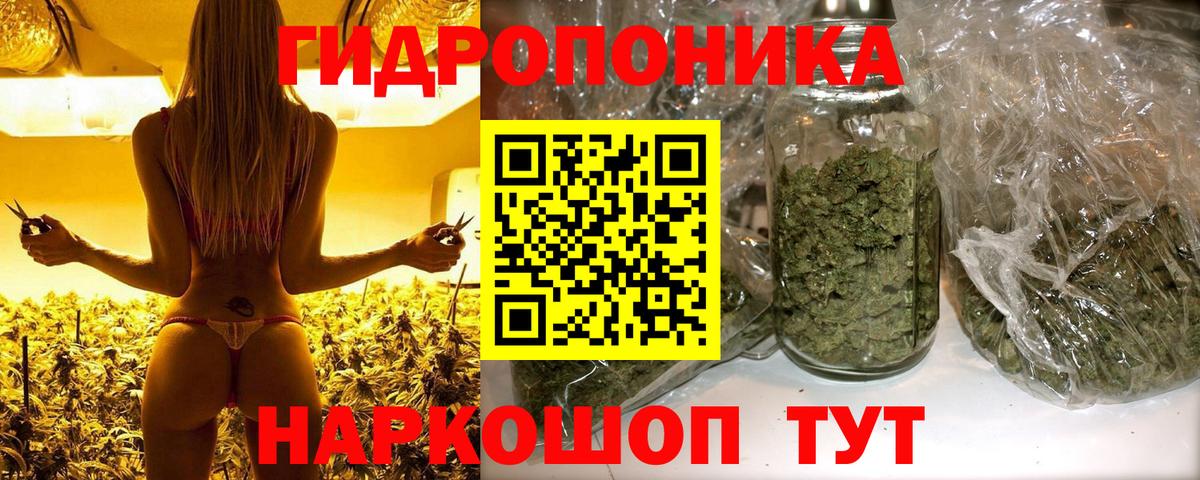 Канабис тримм  МАРИХУАНА SATIVA & INDICA  Вход с VPN  Конопля планчик  Ртищево 